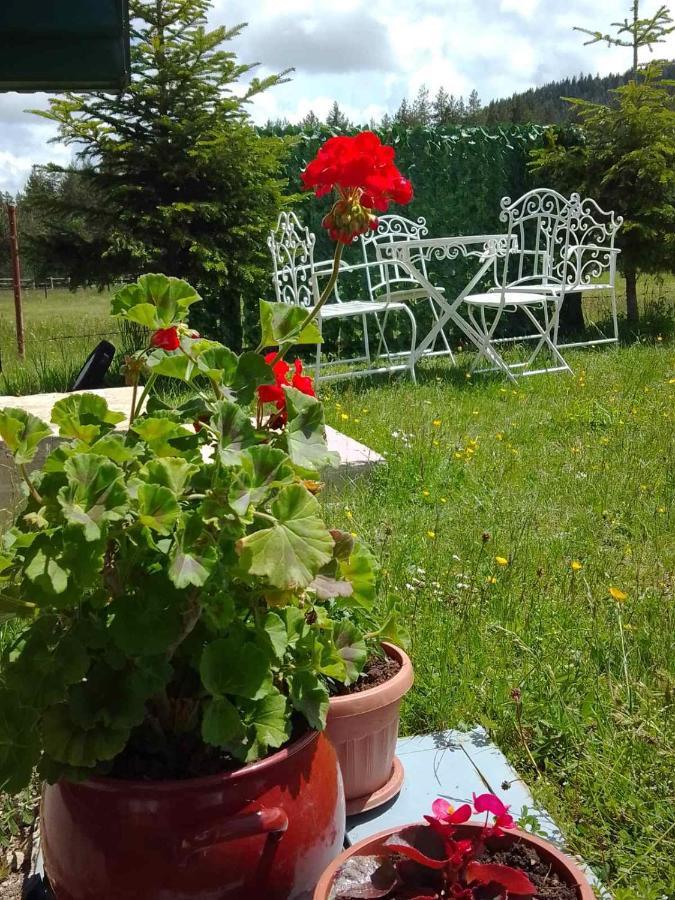 Etno Koliba Nikoleta Villa Zabljak  Bagian luar foto